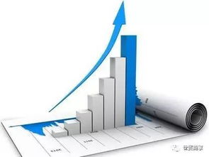 网站不优化，信息咨询服务将面临的挑战与机遇